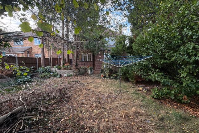 Clifford Grove, Ashford photo 3