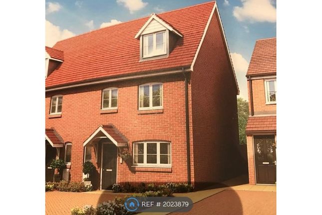 Thumbnail Semi-detached house to rent in Opposite Beaumont School - St Albans
