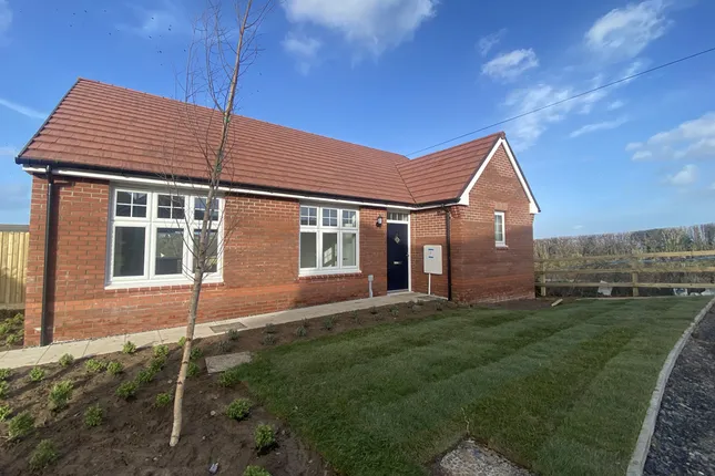 Pobl Living - Bryn Tirion