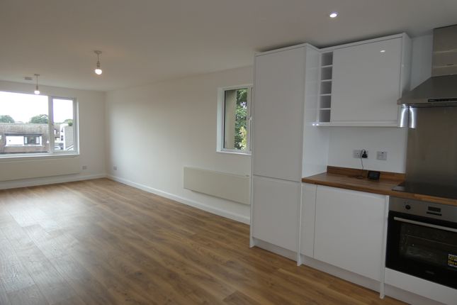 Kitchen / Lounge