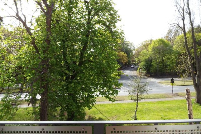 View From Balcony