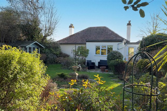 Bungalow for sale in Elm Road, East Bergholt, Colchester, Suffolk