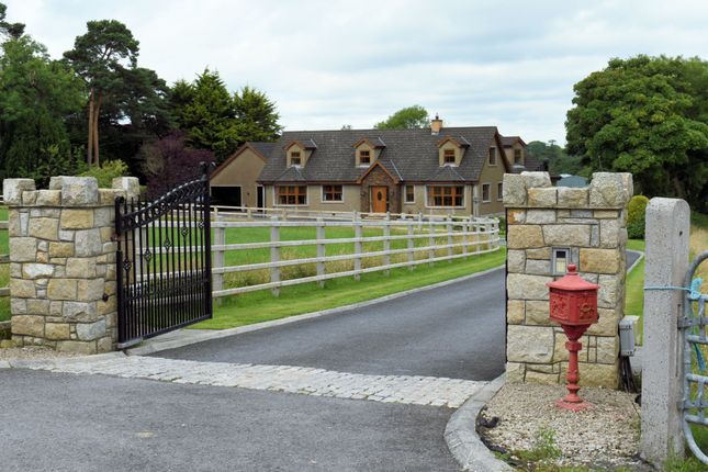 Thumbnail Detached house for sale in Brookside Road, Ballynahinch