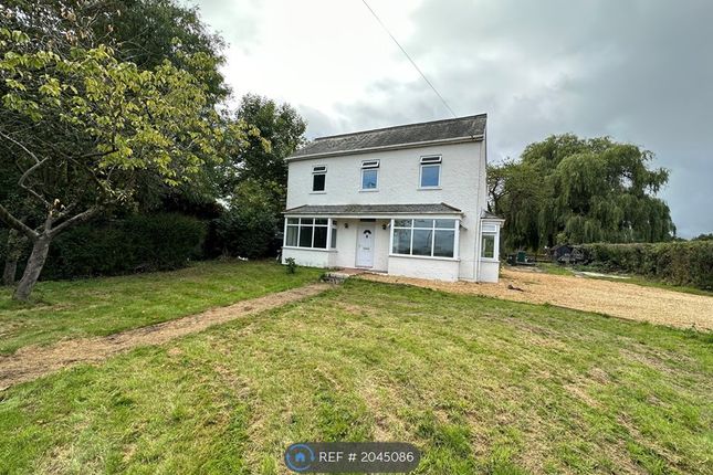 Thumbnail Detached house to rent in Epping Road, Roydon