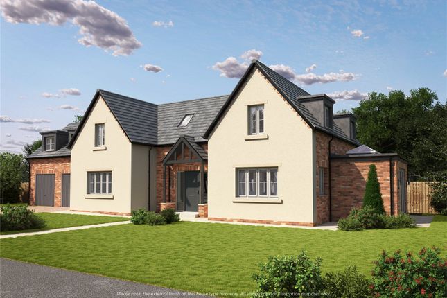 Thumbnail Detached house for sale in The Westminster, Witton Gilbert, Durham