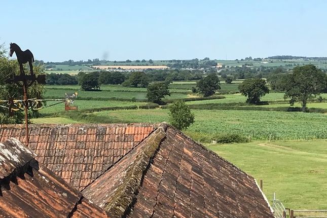 Westerly Views