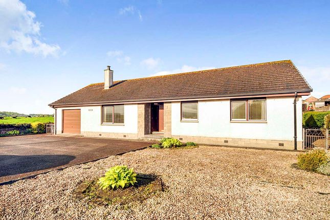 Thumbnail Bungalow to rent in Lockerbie Road, Dumfries, Dumfries And Galloway