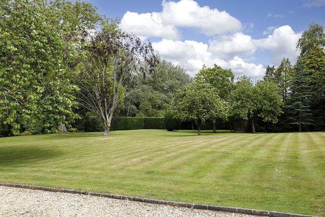 Grounds