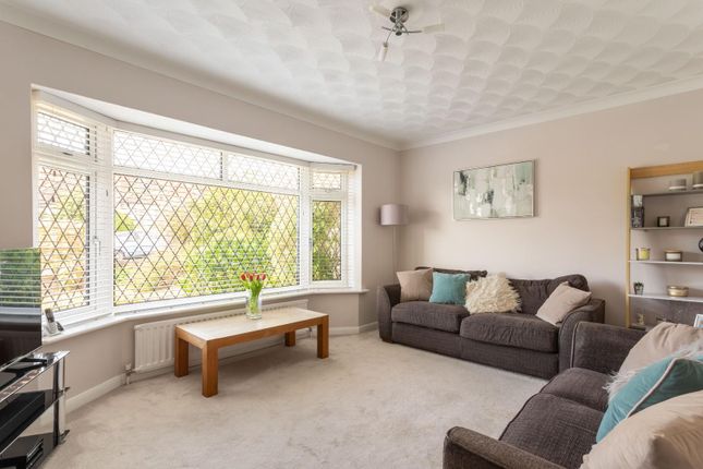 17, Mill Rise, Brighton photo 4