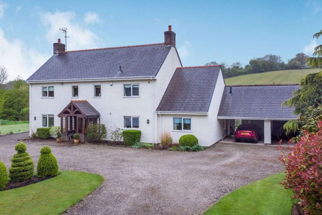 Thumbnail Detached house for sale in The Nant, Pentre Halkyn, Holywell, Clwyd