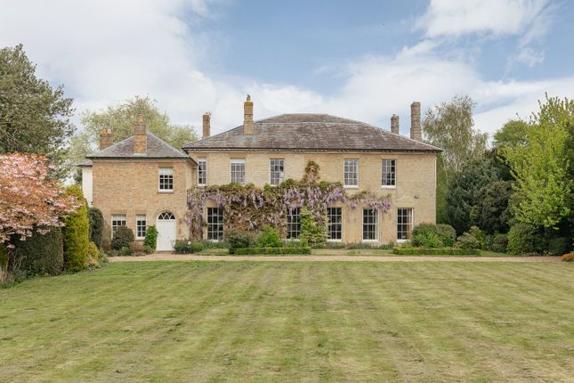 South Facing Gardens