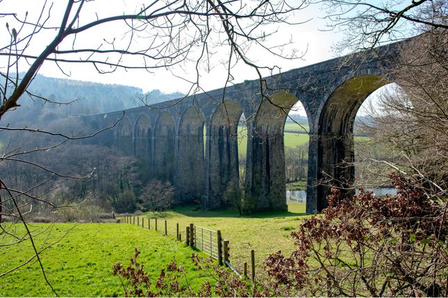 The Birch, Tor View, Tavistock photo 3