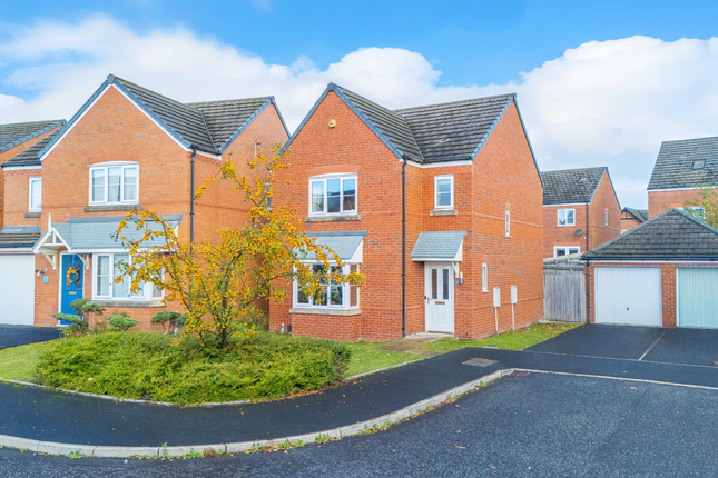 Untitled (5200 x 3900 Px) (5200 x 3450 Px) (6000 x 4000 Px) (3)