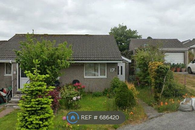 Thumbnail Bungalow to rent in Fortescue Close, Foxhole, St. Austell