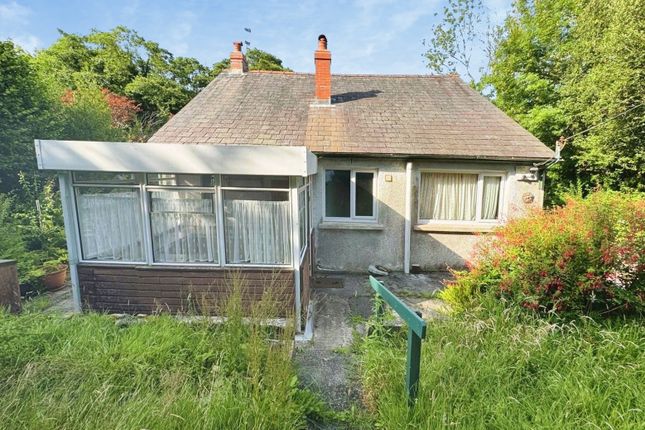 21, Newtown, Ammanford photo 2