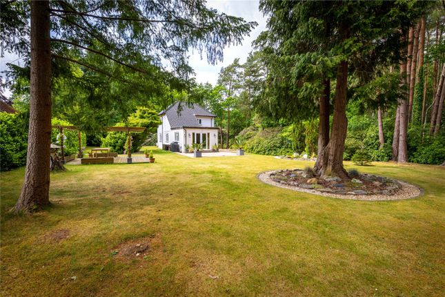 Cottage Garden 2