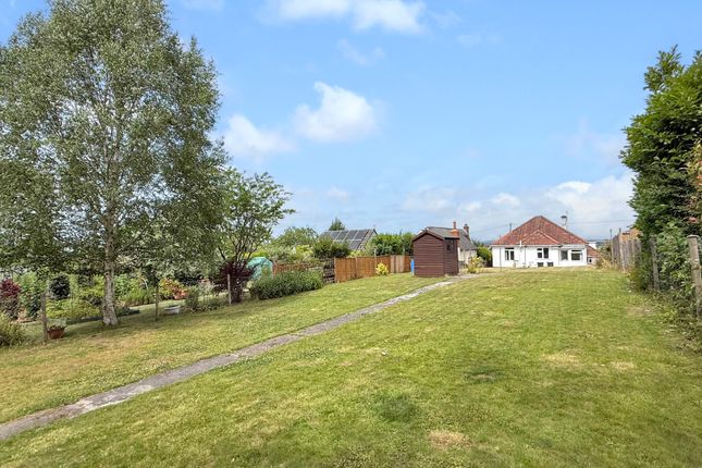 82, Newtown, Westbury photo 2