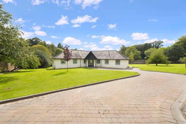 Thumbnail Country house for sale in Pinule, Montgreenan, Kilwinning