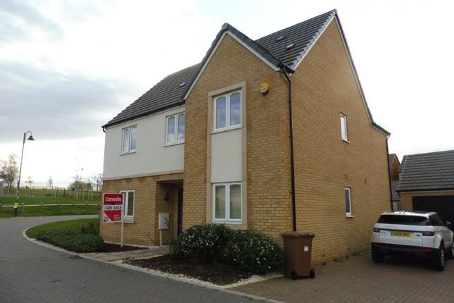 Thumbnail Property to rent in Firecrest, Hampton Vale, Peterborough