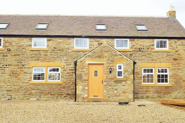 Homes To Let In Aged Miners Cottages Holywell Whitley Bay Ne25