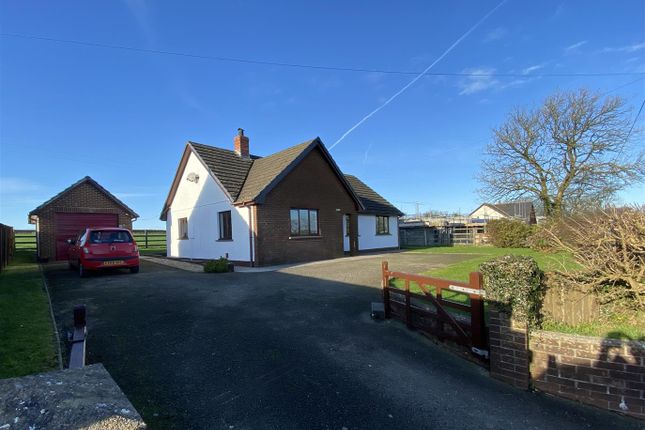 Thumbnail Bungalow for sale in Blaenwaun, Whitland