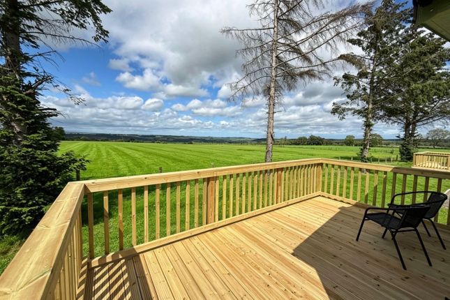 10, Slaley View Holiday Park, Hexham photo 4