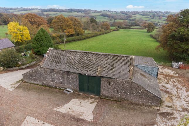 New Barns Farm