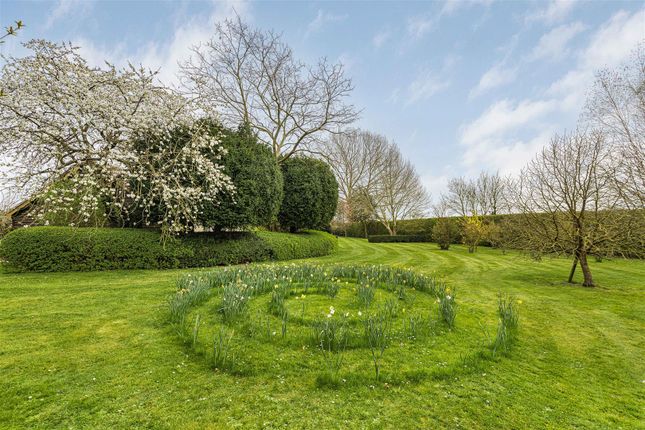 Detached bungalow for sale in Shepreth Road, Foxton, Cambridge