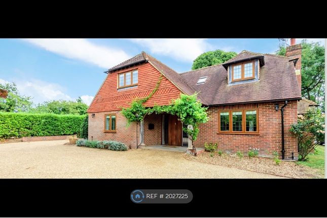 Thumbnail Detached house to rent in Epsom Road, West Horsley
