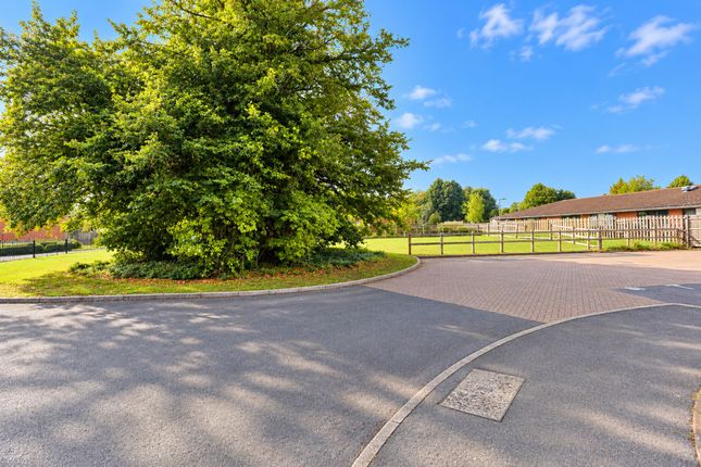 10 Neville Duke Way, Chichester photo 4