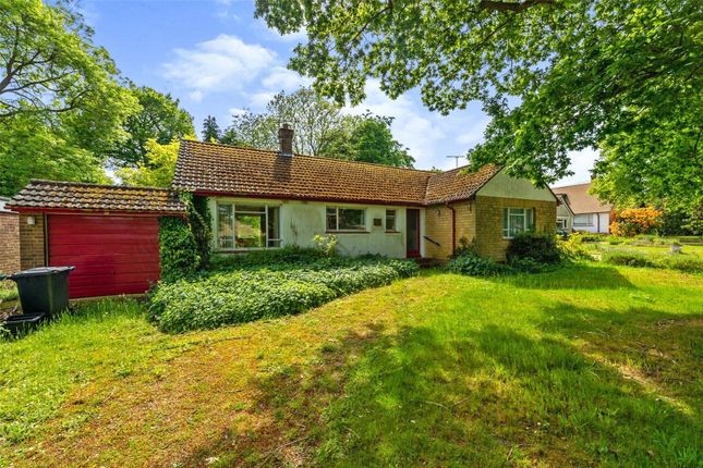 Thumbnail Bungalow for sale in Swannells Wood, Studham, Dunstable, Bedfordshire