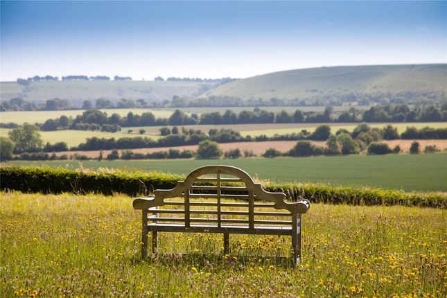Bench And View