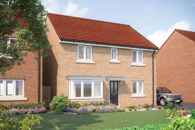 Thumbnail Detached house for sale in "Pembroke" at Primrose Drive, Sowerby, Thirsk