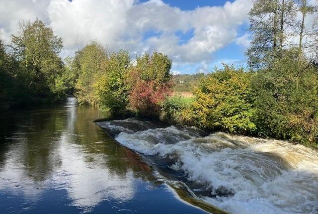 Fishing on the River Barle, Dulverton photo 5