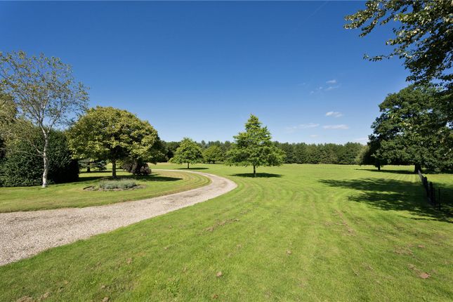 Oak House,, Sutton Park, Guildford photo 3