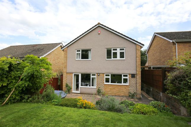 Detached house for sale in Chardstock Avenue, Bristol