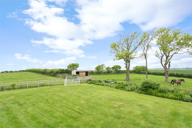 Garden And Land