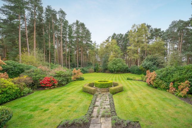 Heath Edge, 48, Llanvair Drive, Berkshire photo 2