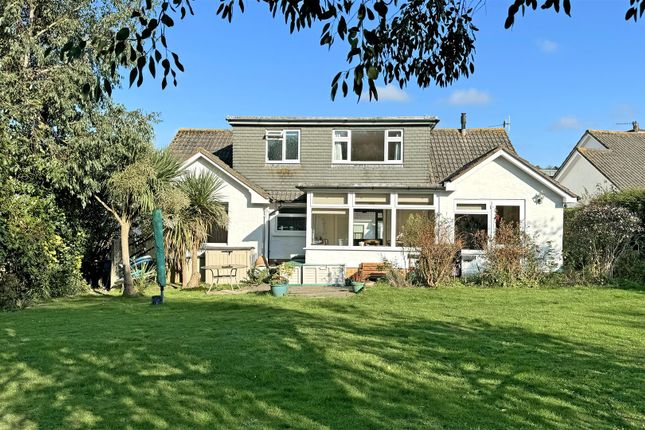 Back Garden 1.Jpg