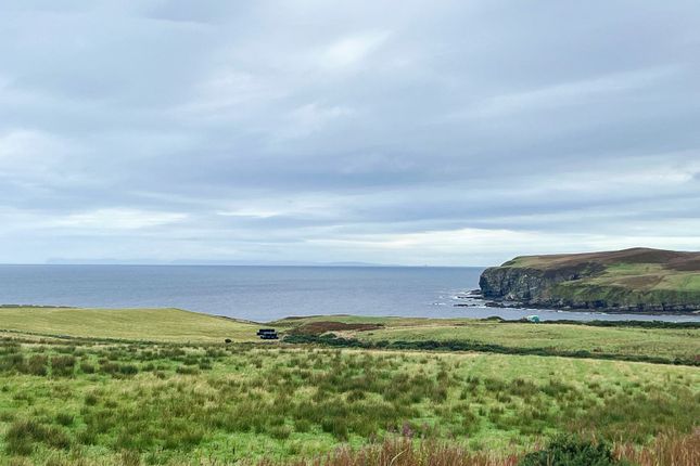 Newfoundland, Melvich, Thurso photo 3