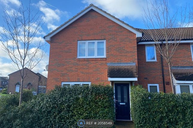 Thumbnail Semi-detached house to rent in Speedwell Close, Guildford