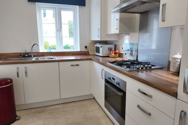Capra Close, Newton Abbot photo 3