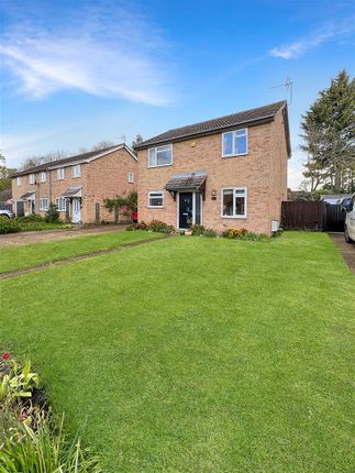 Thumbnail Detached house for sale in Rowan Green, Elmswell, Bury St. Edmunds