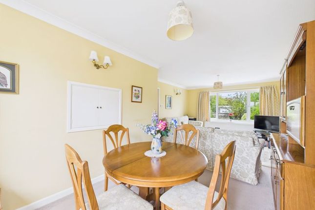 11, Laburnum Drive, Somerton photo 3