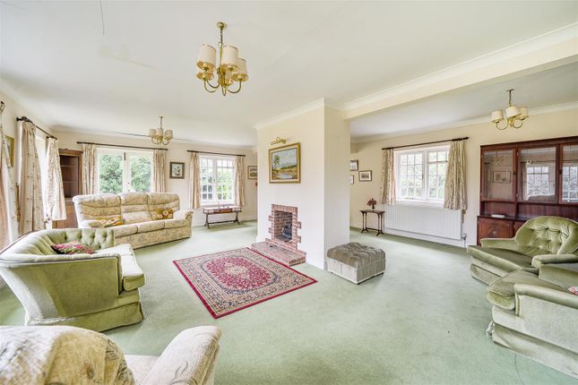 Beech Hill, Hedgehog Lane, Haslemere photo 4