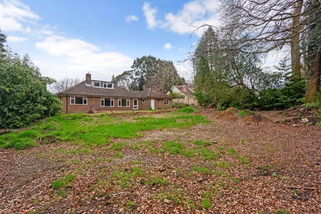 Thumbnail Bungalow for sale in The Paddock, Haslemere