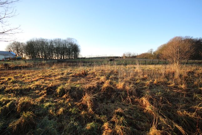 Thumbnail Land for sale in Maud, Peterhead