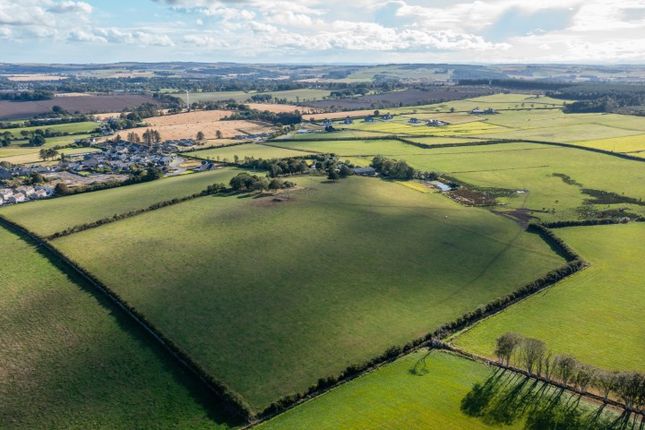 Greens of Gaval, Fetterangus, Aberdeenshire  photo 4