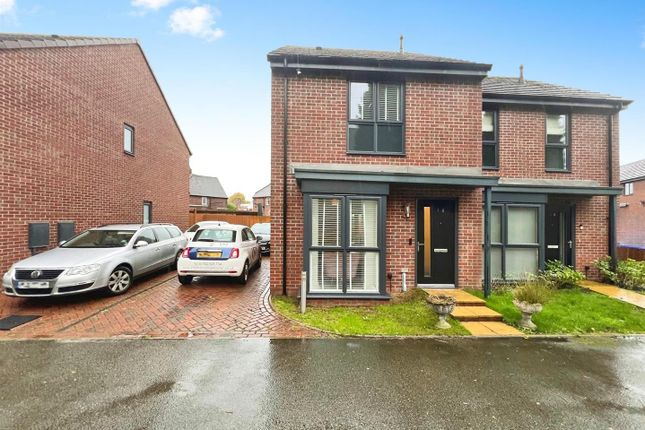 User_Edited_Photo-9576Fa6d_User-Edited-8Fbb29F4-d0