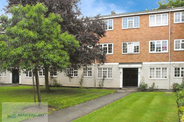 User_Edited_Photo-558Caec0_User-Edited-88d963c7-F6